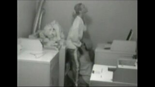 Лезбејките во перална